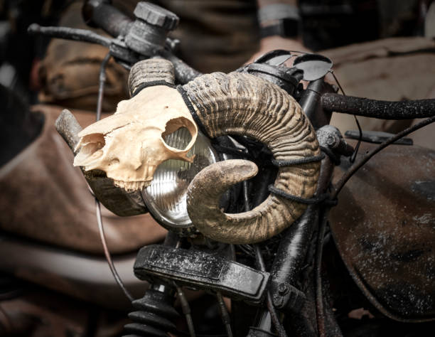 skeleton of the upper jaw, forehead and horns of a ram as a decoration on the handlebars of a rusty motorcycle - rust imagens e fotografias de stock
