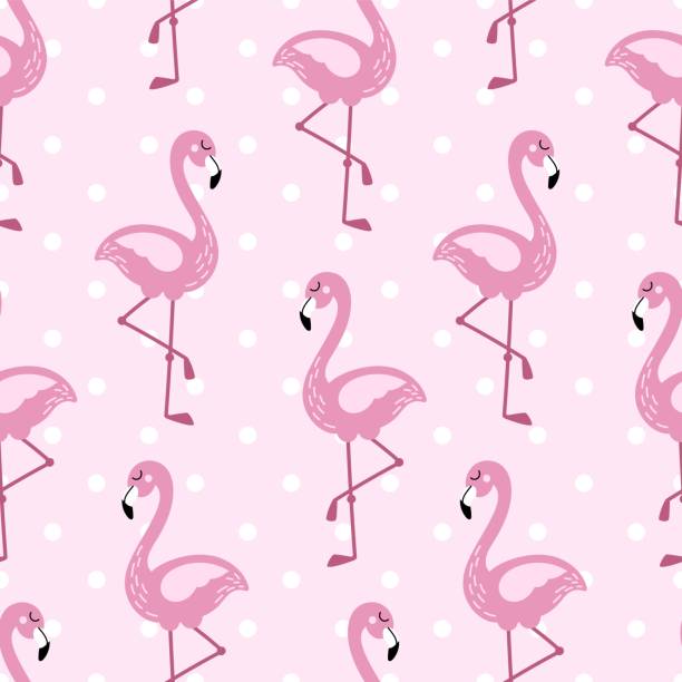 ilustrações, clipart, desenhos animados e ícones de flamingo padrão sem emendas com design de bolinhas. papel de parede tropical rosa bonito e estampa de tecido. ilustração vetorial do doodle para garotas. - white background spotted wildlife nature