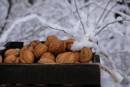 Walnuts in a wooden chest with rope handles on a Christmas snow background.