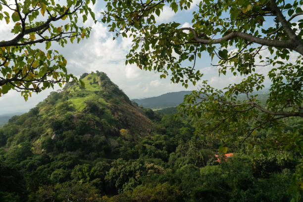 istock Green mountain landscape, Dambulla, Sri Lanka 1401666048