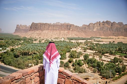 Rear view of Middle Eastern man in traditional dish dash, kaffiyeh, and agal enjoying high vantage point across desert oasis to sandstone cliffs in background.