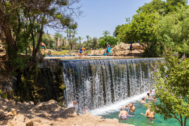 Gan HaShlosha, Israel - Natural warm water pool - National Park, Beit Shean Valley Gan HaShlosha, Israel -  Mai 24, 2022: People bathing in natural warm water pools in Gan HaShlosha National Park. The spring water maintains a constant, year-round temperature of 28 degrees Celsius. beit she'an stock pictures, royalty-free photos & images