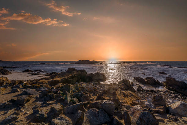 Monterey - view of the coast at sunset. Rocky ocean coast in California, USA. pacific grove stock pictures, royalty-free photos & images