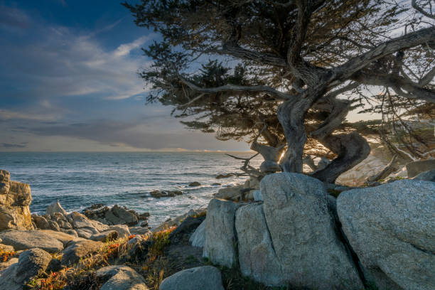 Rocky ocean coast in California, USA.