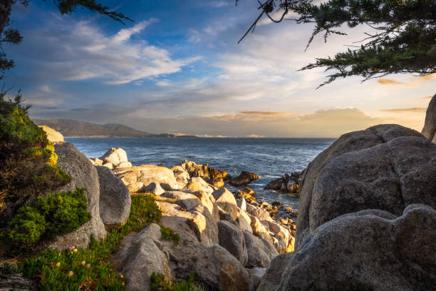 モントレー - 日没時の海岸の眺め。 - big sur cypress tree california beach ストックフォトと画像