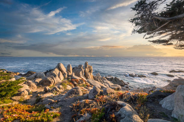 monterrey - vista de la costa al atardecer. - big sur cypress tree california beach fotografías e imágenes de stock