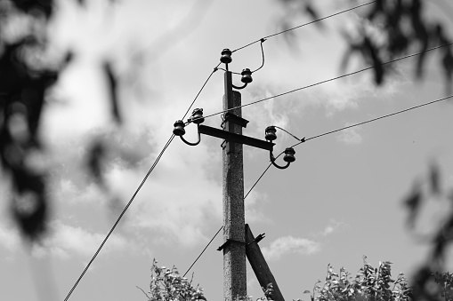 Electric pole BW with a natural vignette of trees around.