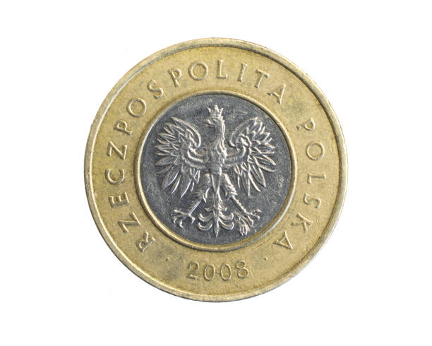 istock Polish two gold coin on a white isolated background 1401683579