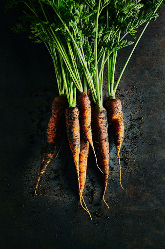 Freshly harvested organic carrots on rustic background. Close-up. Top view