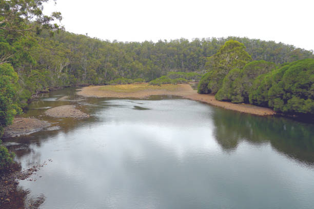 istock Pambula, NSW, Australia 1401690193