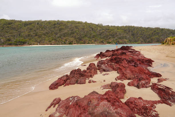 istock Pambula, NSW, Australia 1401690195