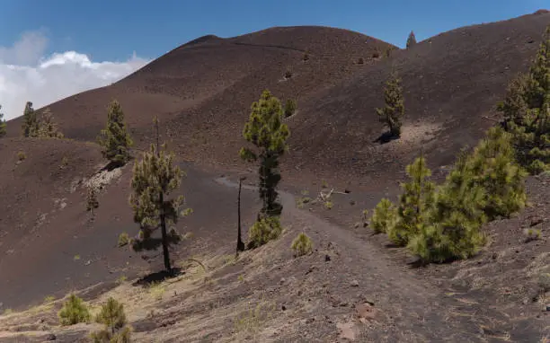 Photo of La Palma, landscapes along the long-range popular hiking route Ruta de Los Volcanes