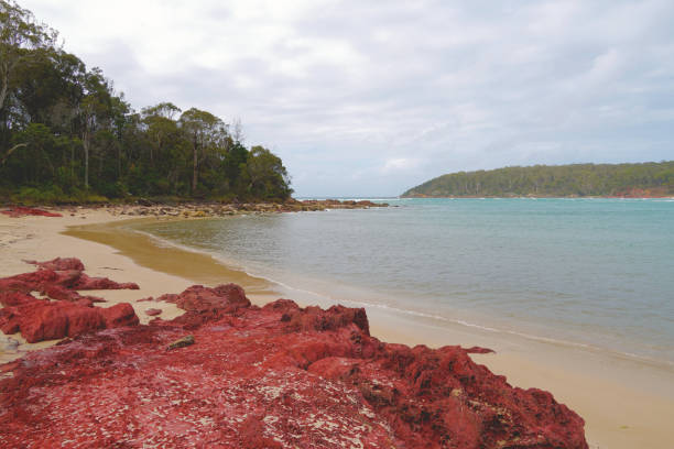 istock Pambula, NSW, Australia 1401690286