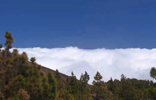 Photo of La Palma, landscapes along the long-range popular hiking route Ruta de Los Volcanes