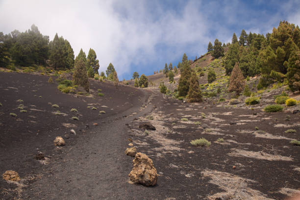 la palma, paesaggi lungo il famoso percorso escursionistico a lungo raggio ruta de los volcanes - la fuencaliente foto e immagini stock