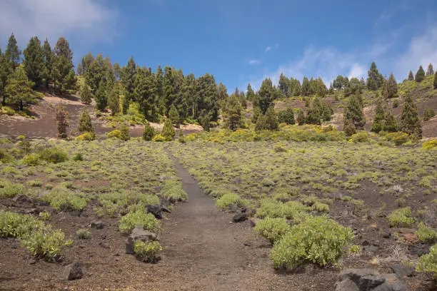 Photo of La Palma, landscapes along the long-range popular hiking route Ruta de Los Volcanes