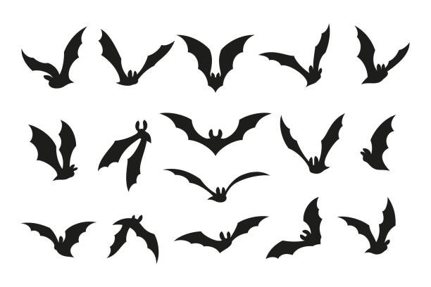 空飛ぶバットのシルエット。孤立した黒いコウモリ、グラフィック吸血鬼のシンボルがセットされています。ゴシック様式のハロウィーンの群れのハエの動物。ホラー怖い整頓された装飾ス� - bat vampire silhouette halloween点のイラスト素材／クリップアート素材／マンガ素材／アイコン素材