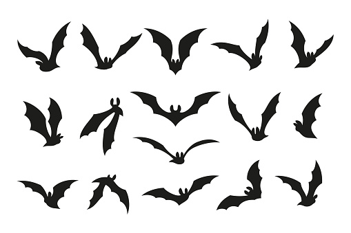 Flying bat silhouettes. Isolated black bats, graphic vampire symbols set. Gothic halloween swarm fly animals. Horror scary decorative for cut, vector bundle. Illustration of bat silhouette halloween