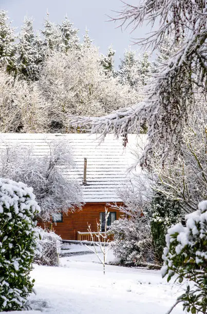 Beautiful sunny day in the winter with view on the log cabin