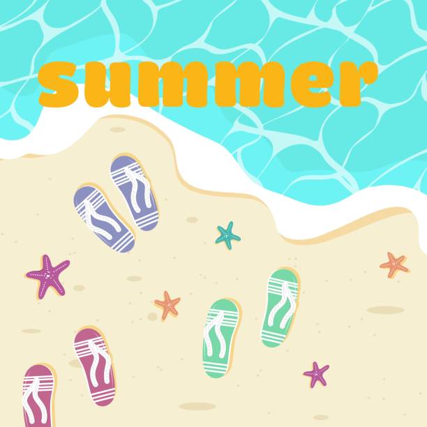 illustrations, cliparts, dessins animés et icônes de illustration de vacances d’été avec tongs, étoiles d’eau et de poisson. - summer flip flop clothesline fun