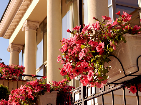 Victorian Style House With Colonnade And Live Flowers Pots On Balcony