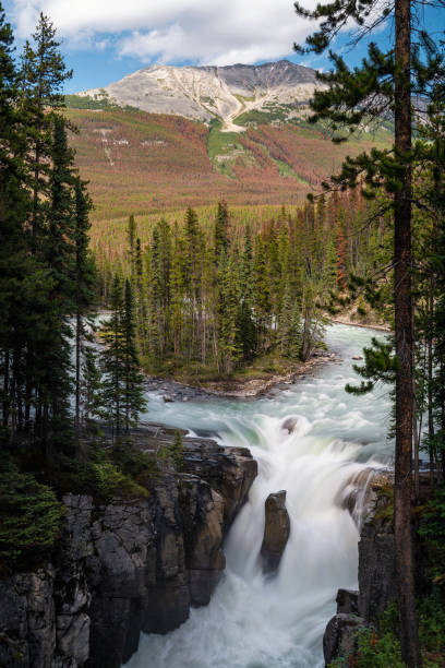 istock Sunwapta Falls in Jasper National Park, Alberta, Canada 1401695912
