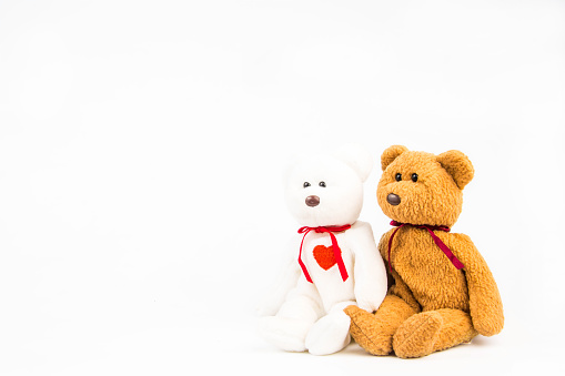 teddy bear on white background