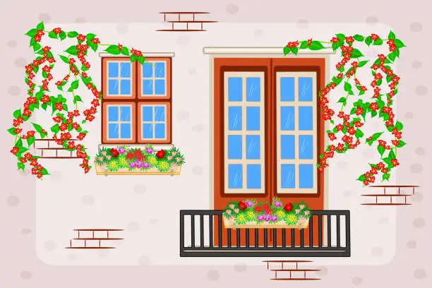 Vector illustration of Balcony and window of house or apartment building with flowers in pot and climbing plant.