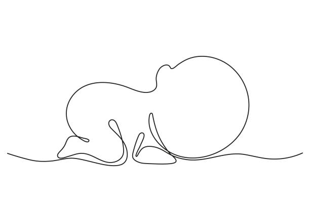 сон новорожденного ребенка, одна художественная линия непрерывного рисования. силуэт милого спящего ребенка в минимализме с одним контуро - silhouette back lit little boys child stock illustrations