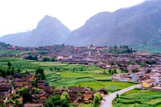 1990年代の金社による志賀 river.in 旧市街 - rice paddy china traditional culture yunnan province ストックフォトと画像