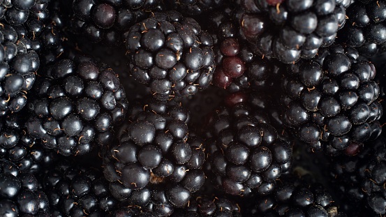 Close up of blackberry fruit as structure with copy space