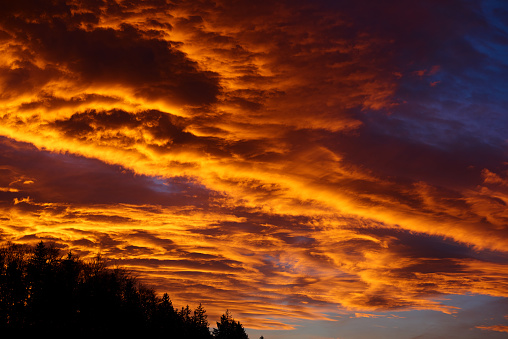 Sunset fiery cloudscape over forest in red , orange and yellow