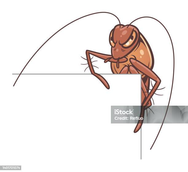 Cockroach Designs Border Cockroach Design Element Corner Stock Illustration - Download Image Now ...