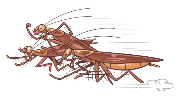 Cockroach Riding Cartoon 4.400+ Funny Goodbye Cartoon Stockfoto's, afbeeldingen en royalty-free ...