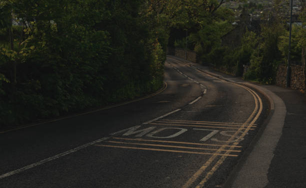 istock Road at sunset in England 1401701379