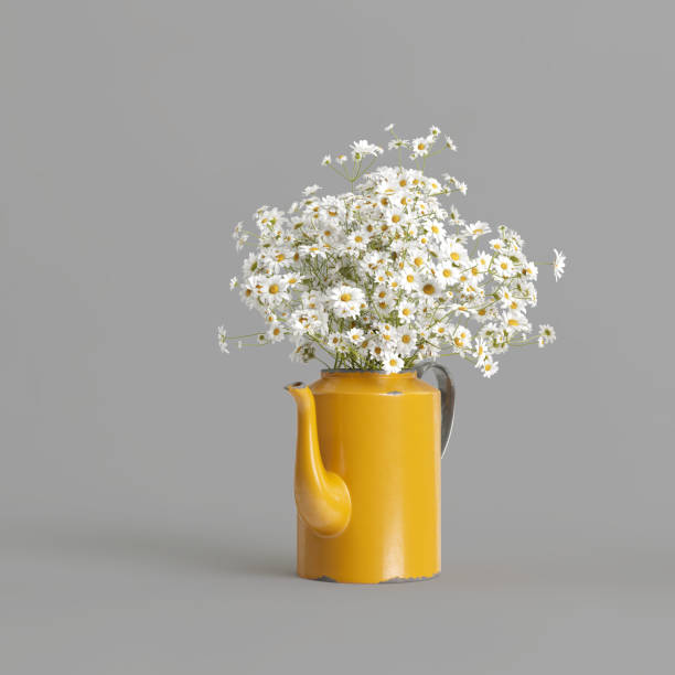 白い背景に分離された花瓶の花の3dイラスト - herb flower head flower wildflower ストックフォトと画像