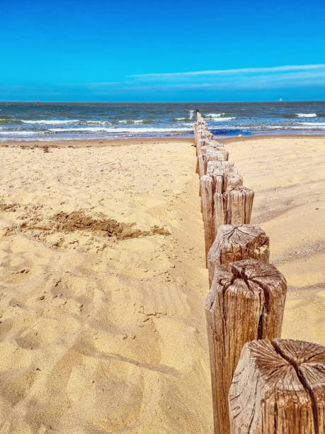 istock Cadzand beach, North sea, Netherlands 1401705309