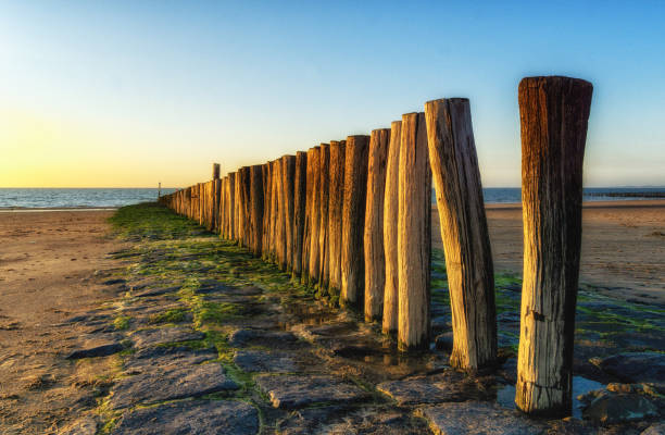 istock North Sea beach in Cadzand, Zeeland, Netherlands 1401706021