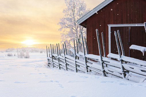 Snow-covered road and rural fields on a sunny day, winter landscape