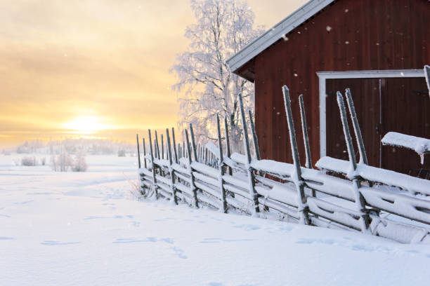Traditional Finnish roundpole fence An old red barn and traditional Finnish roundpole fence in a winter landscape at sunset. A typical Finnish rural landscape in winter. red barn house stock pictures, royalty-free photos & images
