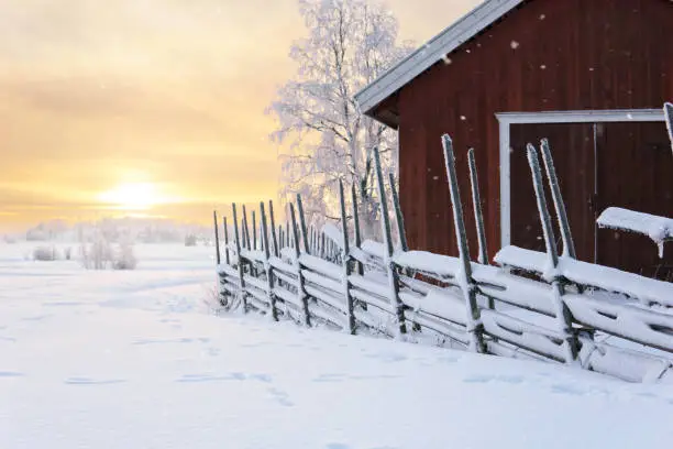 Photo of Traditional Finnish roundpole fence