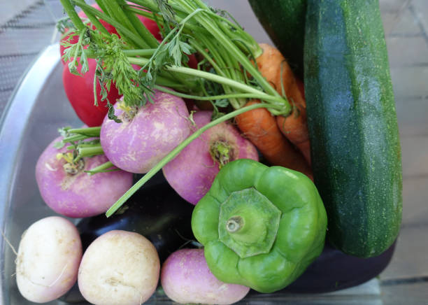Close up shot of abundance of fresh veggies, such as red bell pepper, cucumbers, tomatoes, cherry tomatoes and other, arranged in a pile.