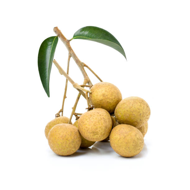 Longan fruit Bunch of fresh longan fruit with green leaf isolated on white background. longan stock pictures, royalty-free photos & images