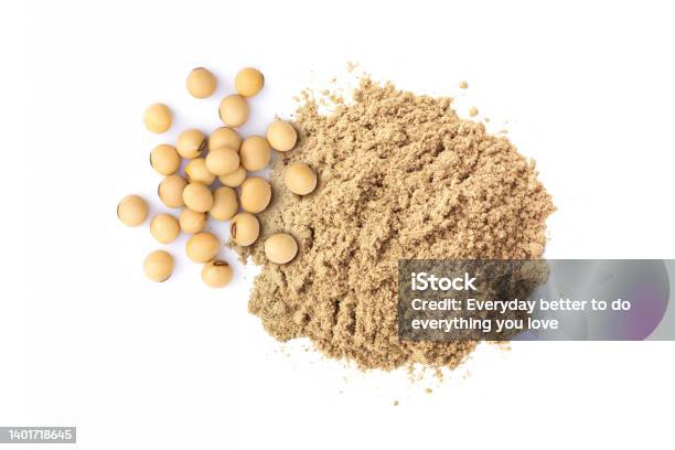 Soybean Protein Powder Stock Photo - Download Image Now - Soybean, Protein, Protein Drink