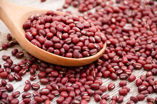 azuki beans (adzuki or japanese red bean) - azuki imagens e fotografias de stock