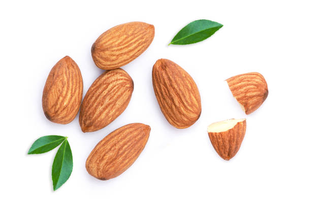 Almond nut stock photo