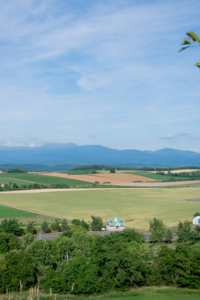 istock Summer green upland fields and mountains 1401720453