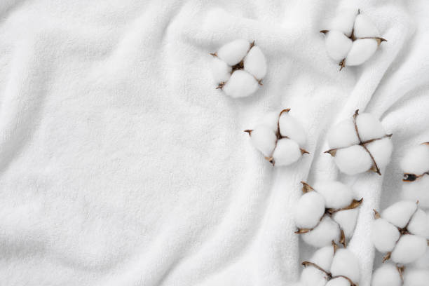 istock Cotton flowers on a white terry towel with copy space. 1401723505