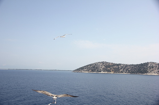 Travel by ferry to the island of Thassos, Greece. Ferry and the view during the trip to an exotic vacation