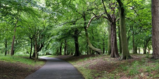 Sefton Park, Liverpool